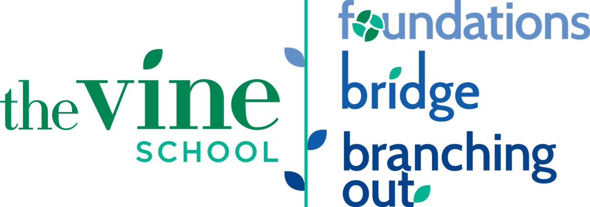 Vine Group Logo 1